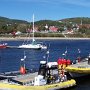 Marina: le départ de nombreuses croisières d'observation de baleines ou du fjord